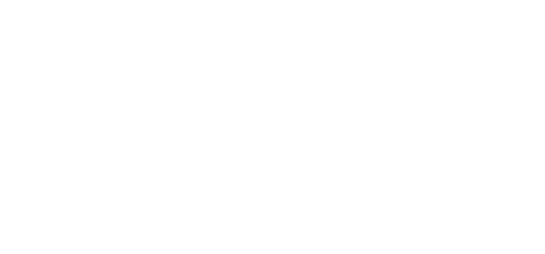 Venchi Logo